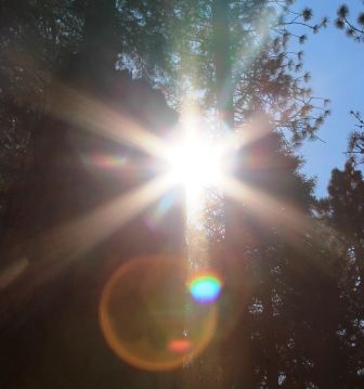 24 web, 8-22-'12, IMG_6718