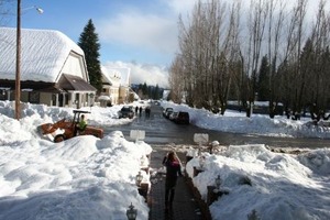 大雪の中、9ウェブ、3-28-'11 143