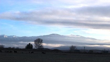 Shasta, 1-26-2016 337