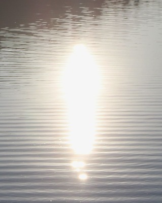 IMG_2601(2)