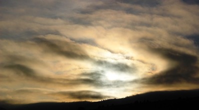 Shasta, 1-26-2016 303