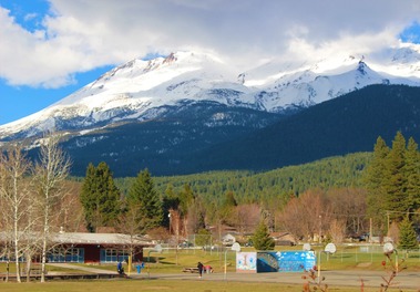 IMG_5503 (2)