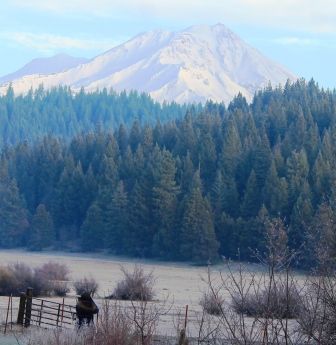 Shasta & Squaw Valley, 2-17-2014 032