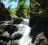 Faery Falls,   23 web,7-24-'10 226