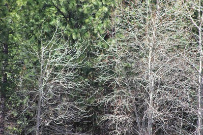 IMG_2079(1)