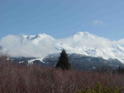 IMG_5635(1)