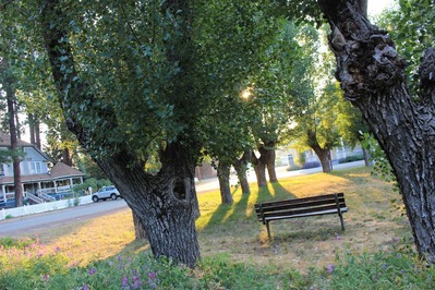 IMG_6093 (2)