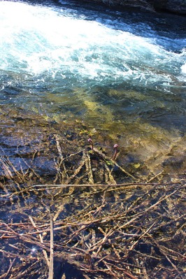 IMG_9933 (2) - Copy