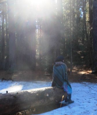 31 web, Wild Forest, 12-25-2013 393