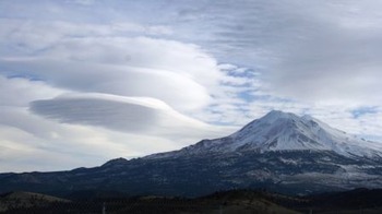  Shasta,  3 web, 12-23-'10 008