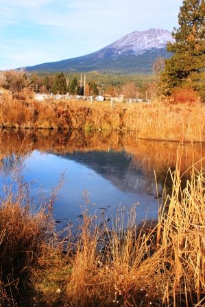 Sisson Meadow Park, 26 web, 12-17-'11, IMG_5951