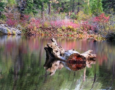  Shasta, 10-18-2016 309