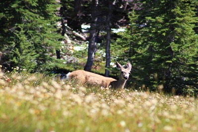 IMG_3285(1)
