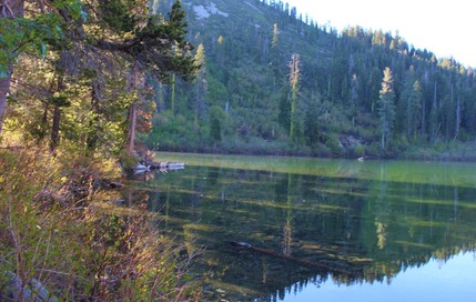IMG_2861 (2)