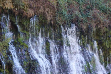IMG_3760 (2)
