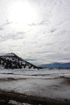 IMG_0929(1)
