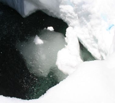 Castle Lake, 9 web, 5-4-'11 227