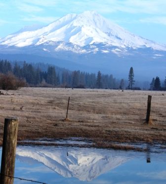 Shasta & Squaw Valley, 2-17-2014 102