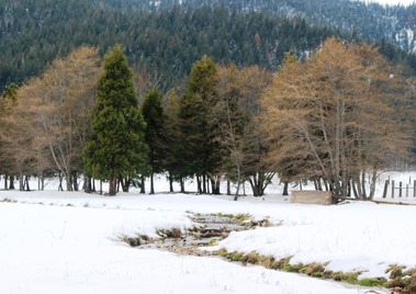 Shasta, 12-272015 050