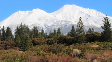 IMG_0636 (2)