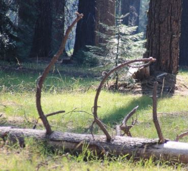 20 web, 8-22-'12, IMG_6679