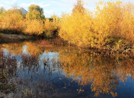  Sisson Meadow Parlk, 10-29-2014 186