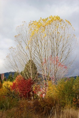 IMG_3767 (2)