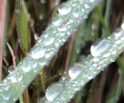 16 web, 10-23-'12, IMG_8534