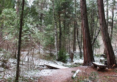 Shasta, 12-272015 062