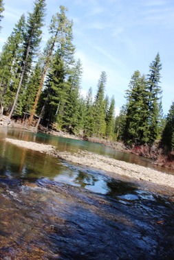 McCloud River 4-15-2017 062