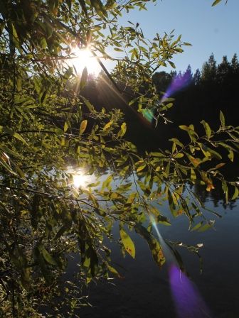 Lake Siskyou, 21 web, 8-26-'11, IMG_4252