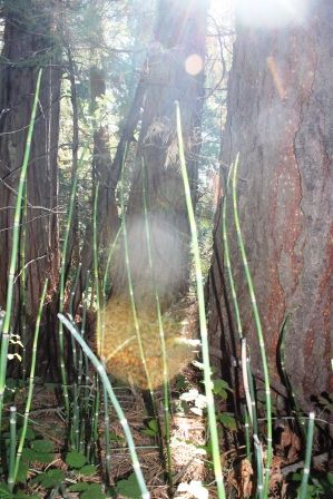 44 web, Big Springs, 8-11-2013 197