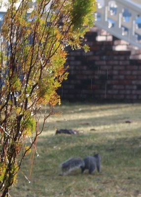 IMG_7393 (2)