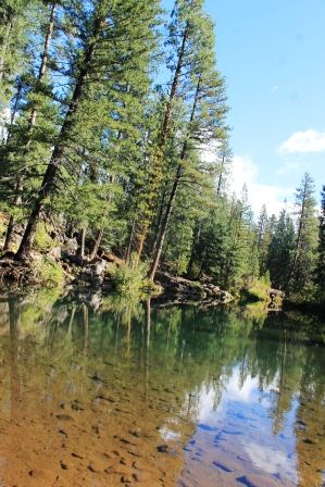1 web, Cattle camp, 9-25-2013 048