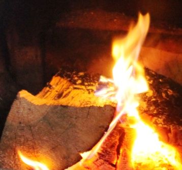 Fire, 4 web, 3-27-'12, IMG_6235