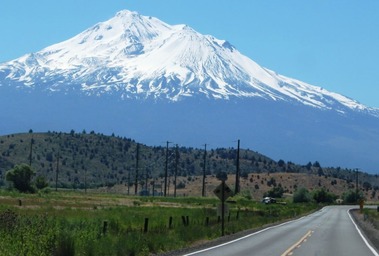 Shasta, 6-20-2016 016
