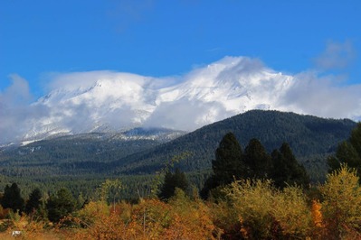 IMG_3743 (2)