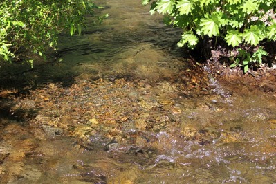 3 doc. IMG_6286 (2)