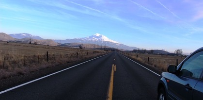 Shasta, 1-26-2016 330