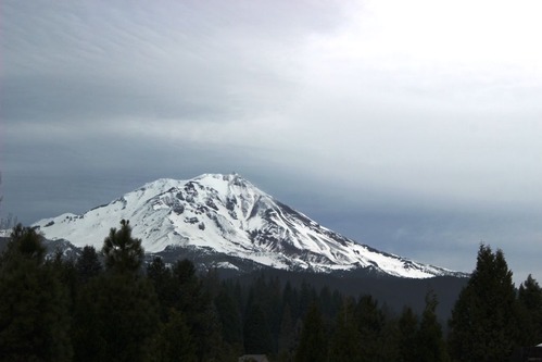 Shasta 11-19-2017 519