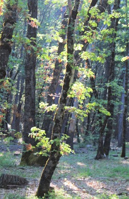 IMG_2763 (2)