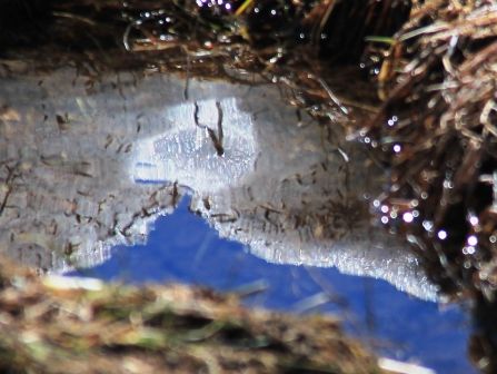 47 web, 6-22-'12, IMG_6647