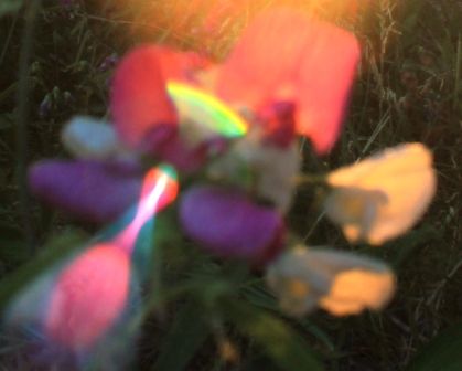 4 web, ī�������ʡ�7-26-2013 064