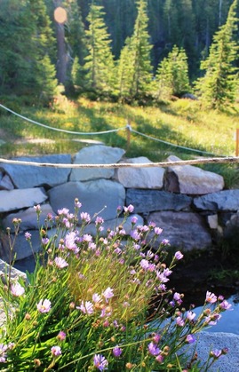  Shasta & Panther Meadows, 7-20-2014 389