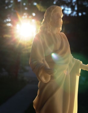 33 doc. Jesus with Shasta Daisy 6-29-2018 178