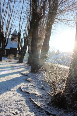 Morning snow, 2-22-2017 105