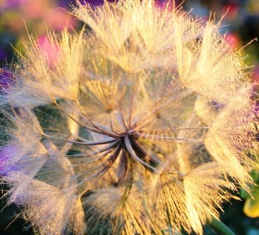 7 web, ī�������ʡ�7-26-2013 088