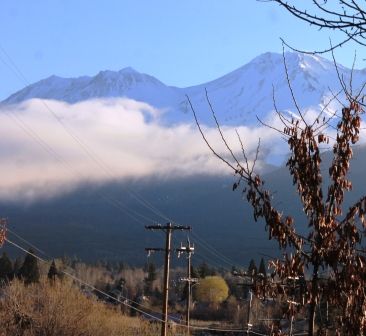 Shasta City,  5 web, 3-21-2013 086