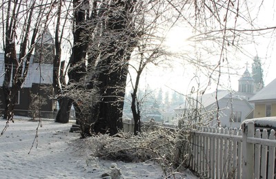 IMG_4269(1)