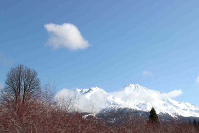 IMG_5638(1)